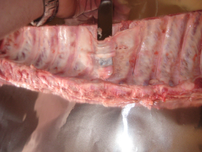 Removing the membrane on baby back ribs.